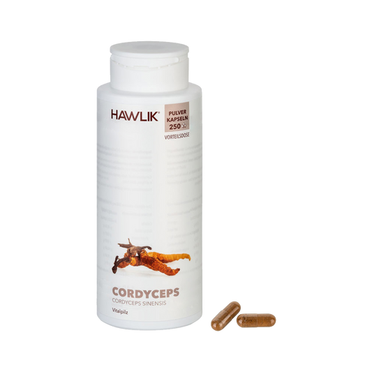 HAWLIK Cordyceps Pulver Kapseln